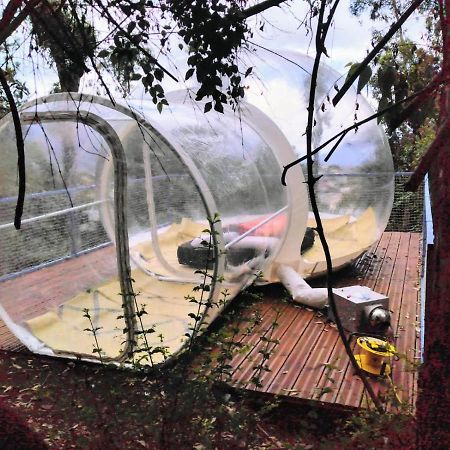 Hôtel Dans ma bulle by C Cibeaulaos à Cilaos Extérieur photo