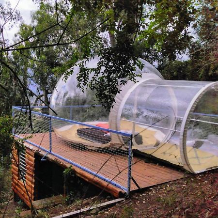 Hôtel Dans ma bulle by C Cibeaulaos à Cilaos Extérieur photo