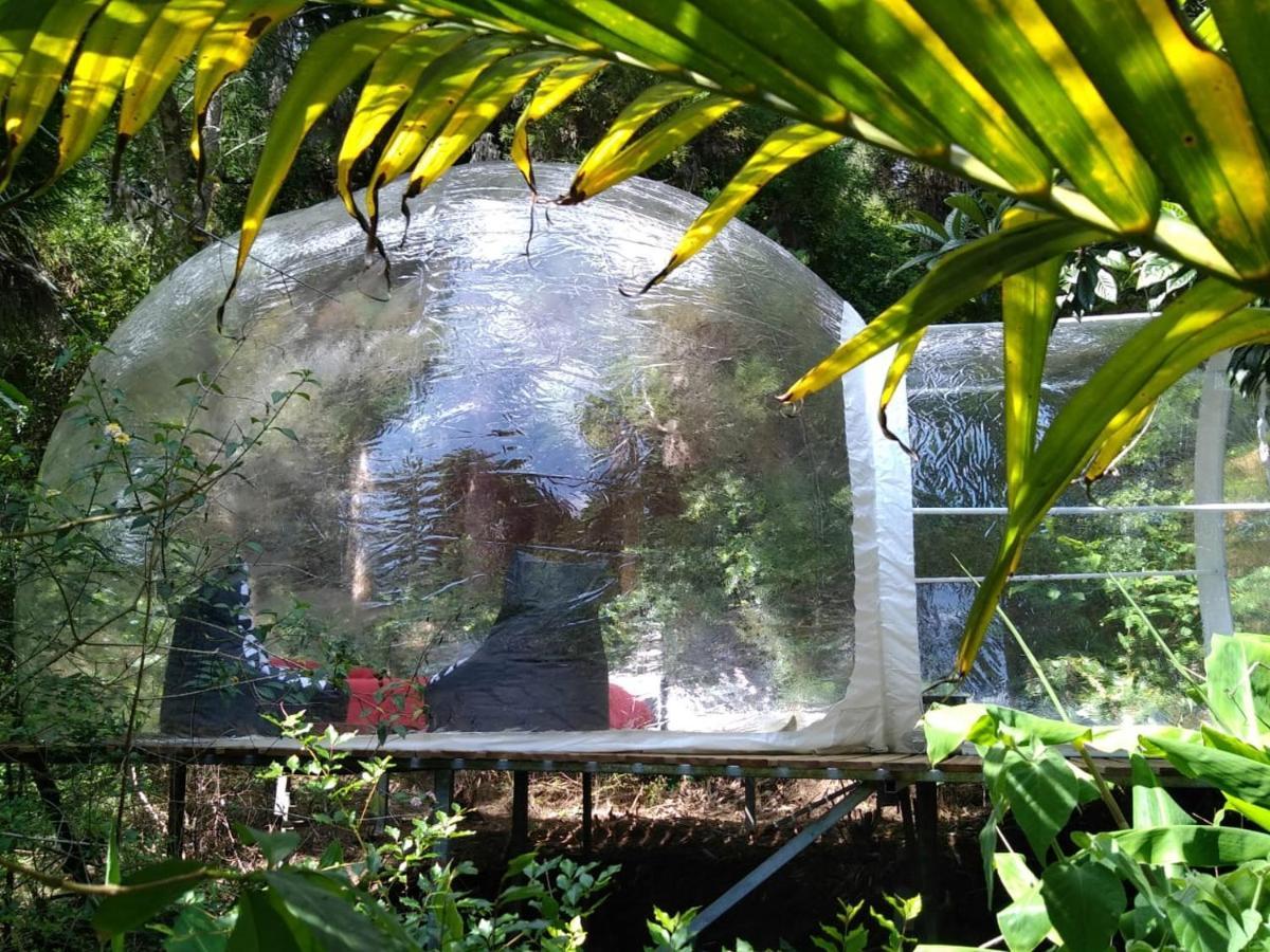 Hôtel Dans ma bulle by C Cibeaulaos à Cilaos Extérieur photo